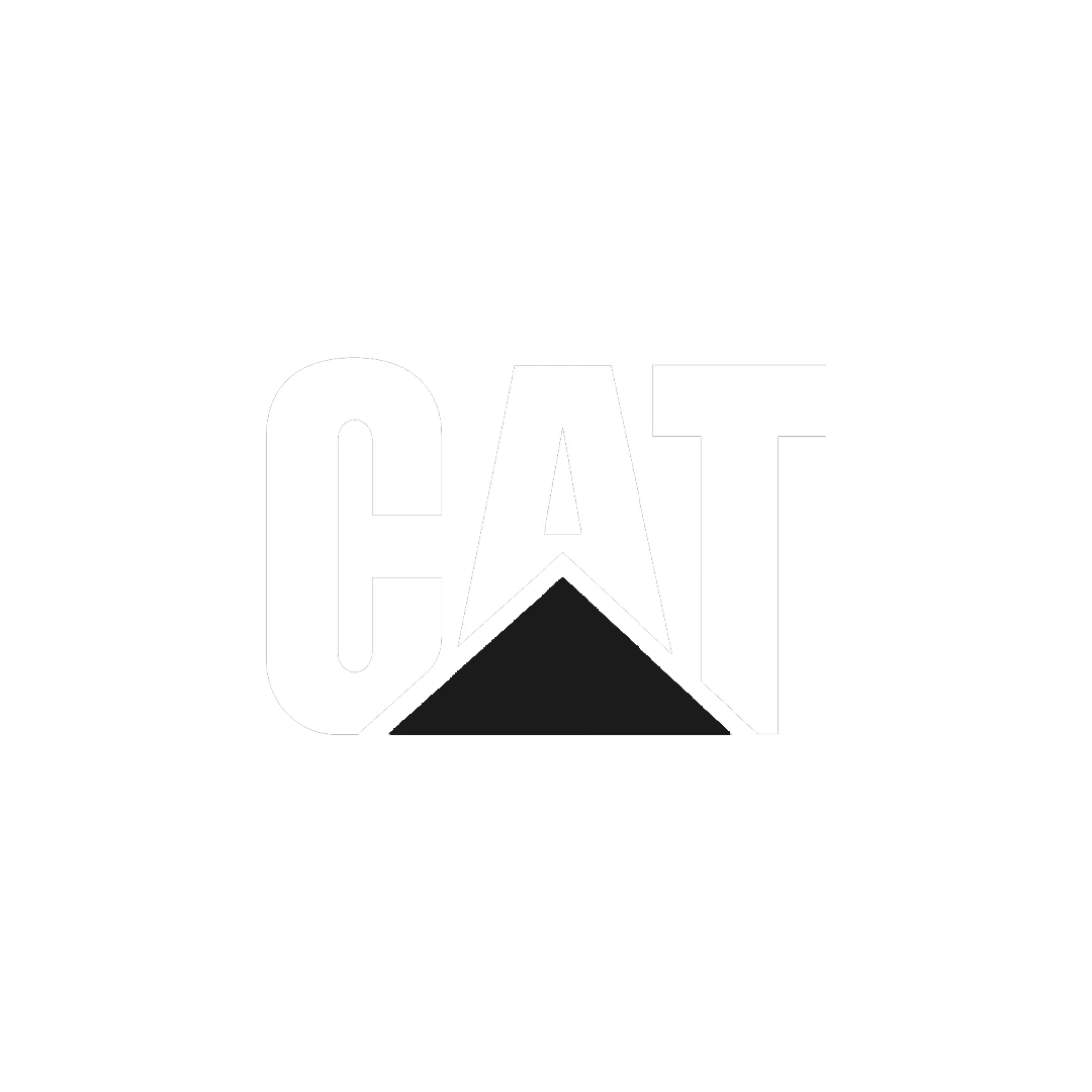 cat2.png